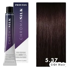 Pravana ChromaSilk 5.37/5GV Light Golden Violet Brown 3oz