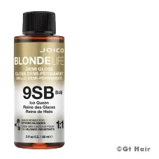 Joico Blonde Life Demi Gloss 9SB Ice Queen 2oz