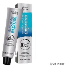 Kenra Studio Stylist Express 10N Extra Light Blonde Natural 2oz