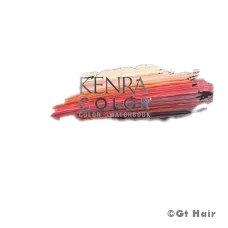 Kenra Color Swatch Book